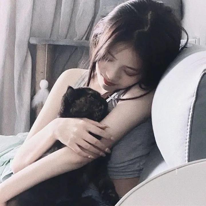 星际狗狗
